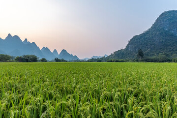 【各地疫情风险等级,全国各地疫情风险等级表】